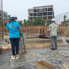 Diệt mối tận gốc tại TP.HCM